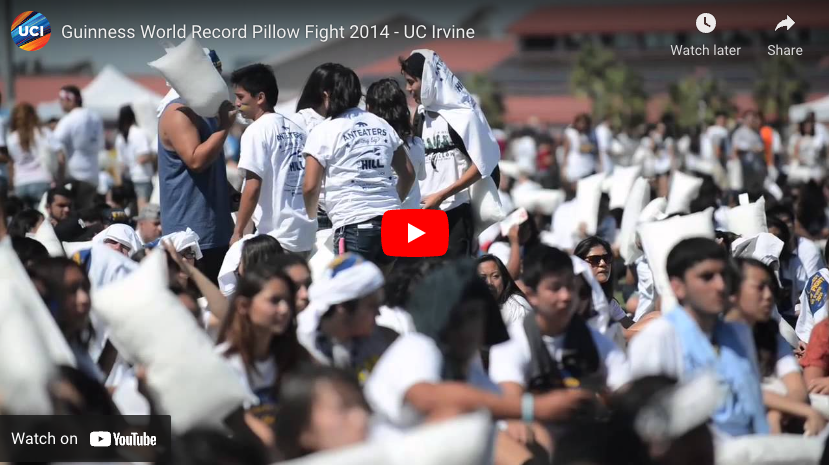 guinness-world-record-pillow.png